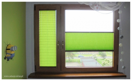     Charakterystyczny akcent - zielone plisy okienne.